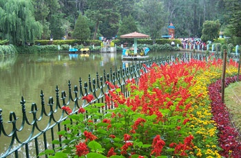 Ooty Tour from Bangalore