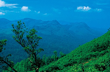 Coorg Ooty and Mysore Tour Package