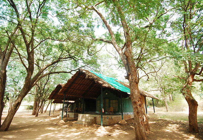 galibore nature camp